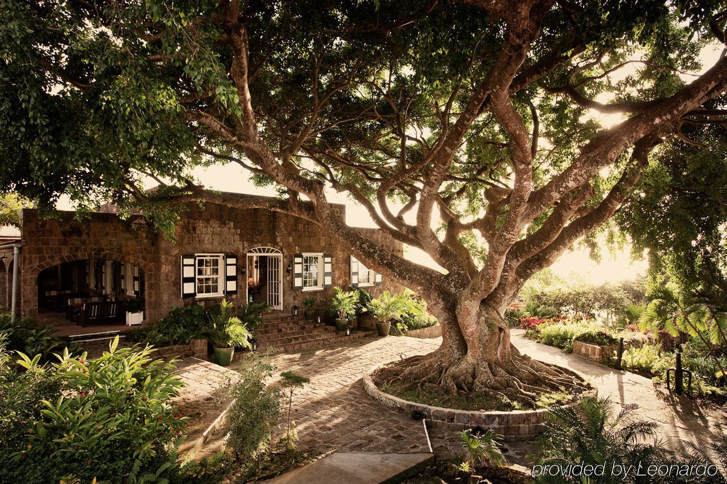 Montpelier Plantation&Beach Charlestown Extérieur photo